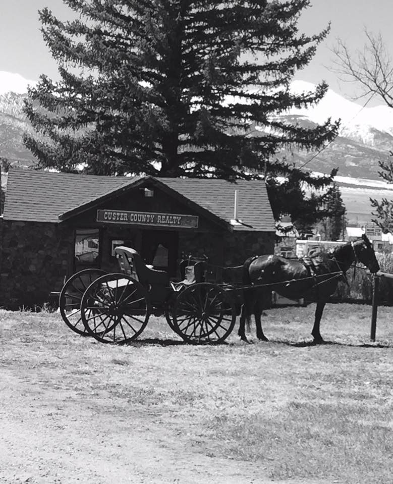Custer-County-Realty-with-horse-and-buggy.jpg