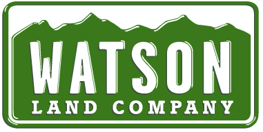 Watson_company-logo.png