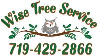Wise Tree Service Logo.jpg