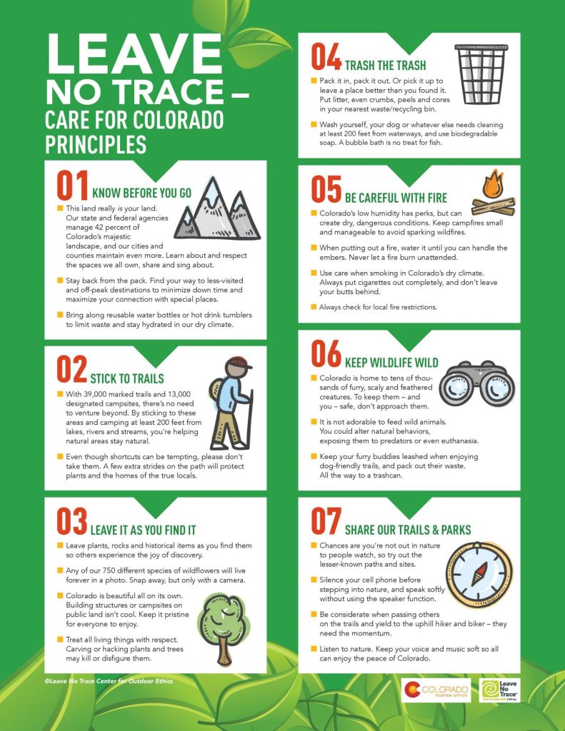 Leave No Trace Poster
