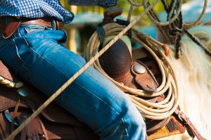 Rancher In The Saddle handling rope